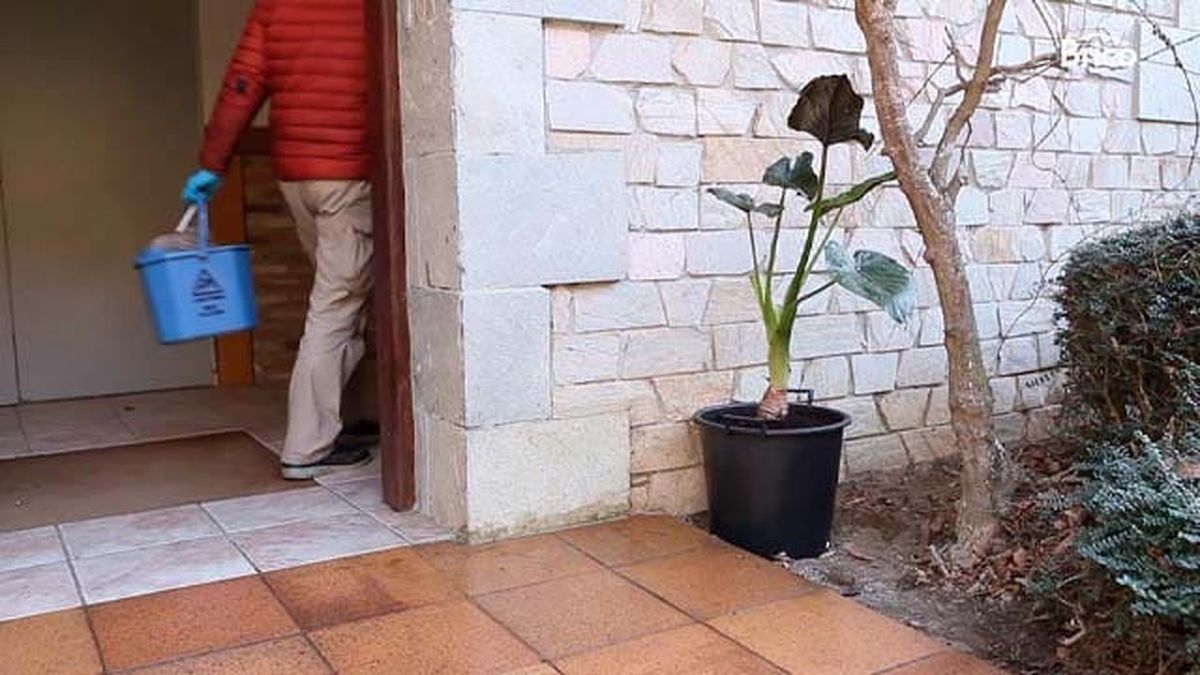 Bricomania 1022 2 quitar cemento paso 7