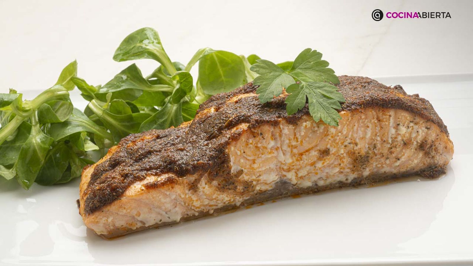 karl6840 salmon cajun xl