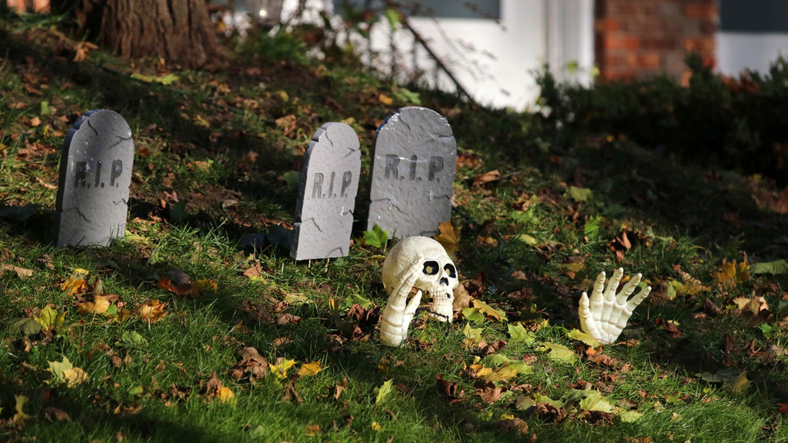 decorar jardin halloween