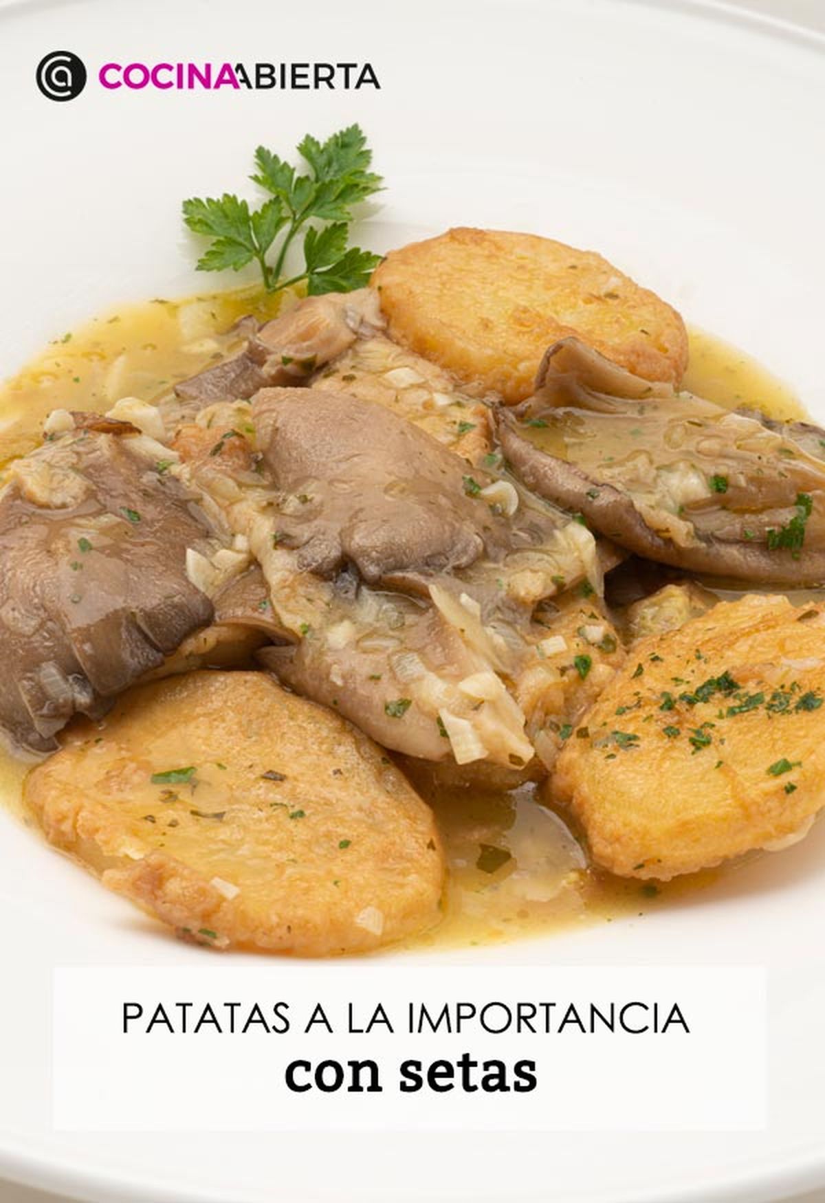 karl6691 patatas setas v