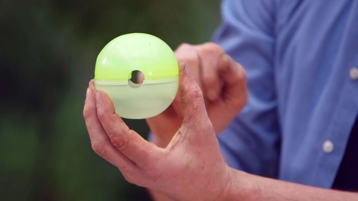 brico 945 3 capsulas enraizamiento esferas