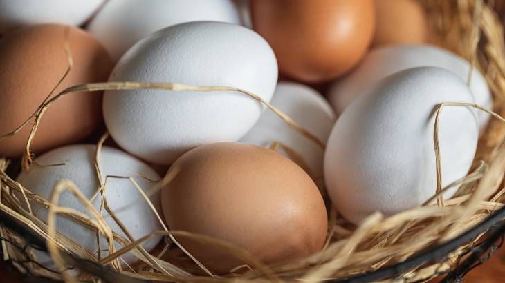 triptofano huevos
