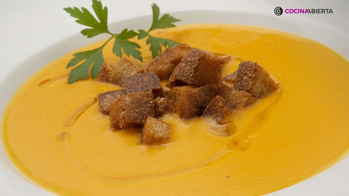 KARL6875 sopa zanahoria xl