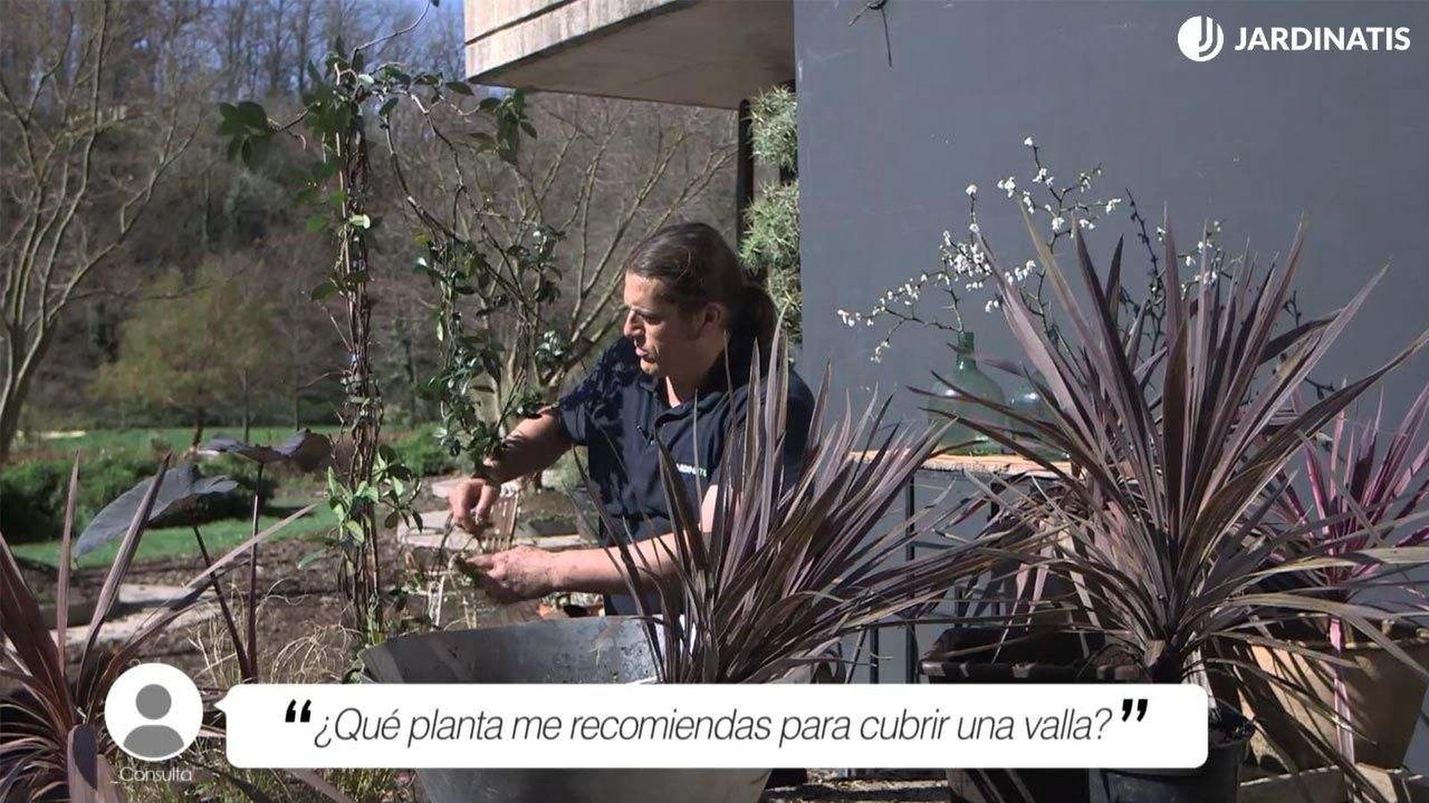 Iñigo Segurola cuenta qué planta recomienda para vallas