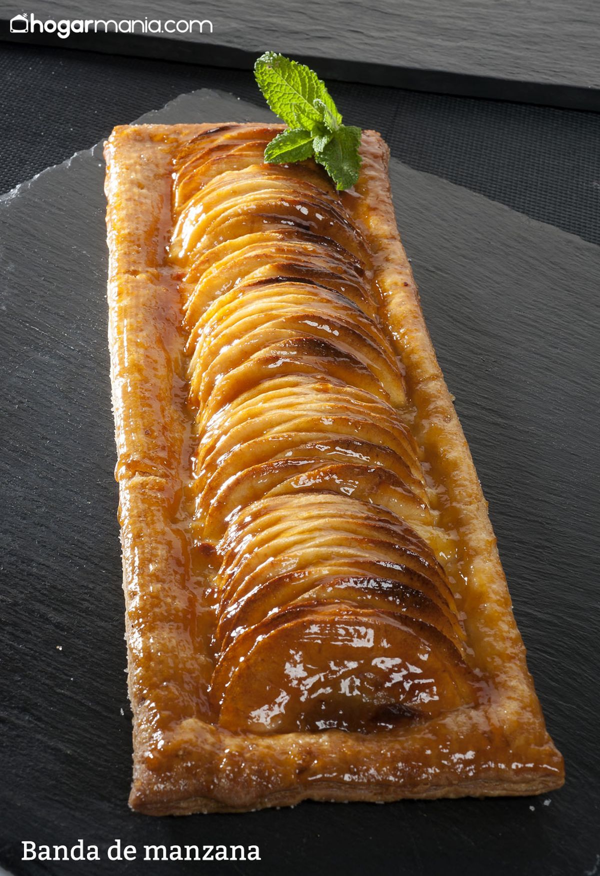 CABI0057 Joseba Banda de manzana vertical xl