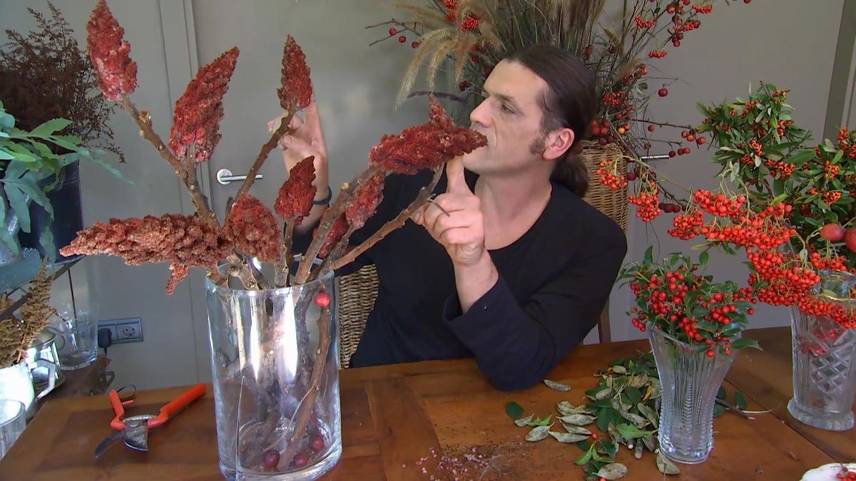 DEKO_JARDIN_604_Bayas invierno centros florales Rhustyphina Laciniata