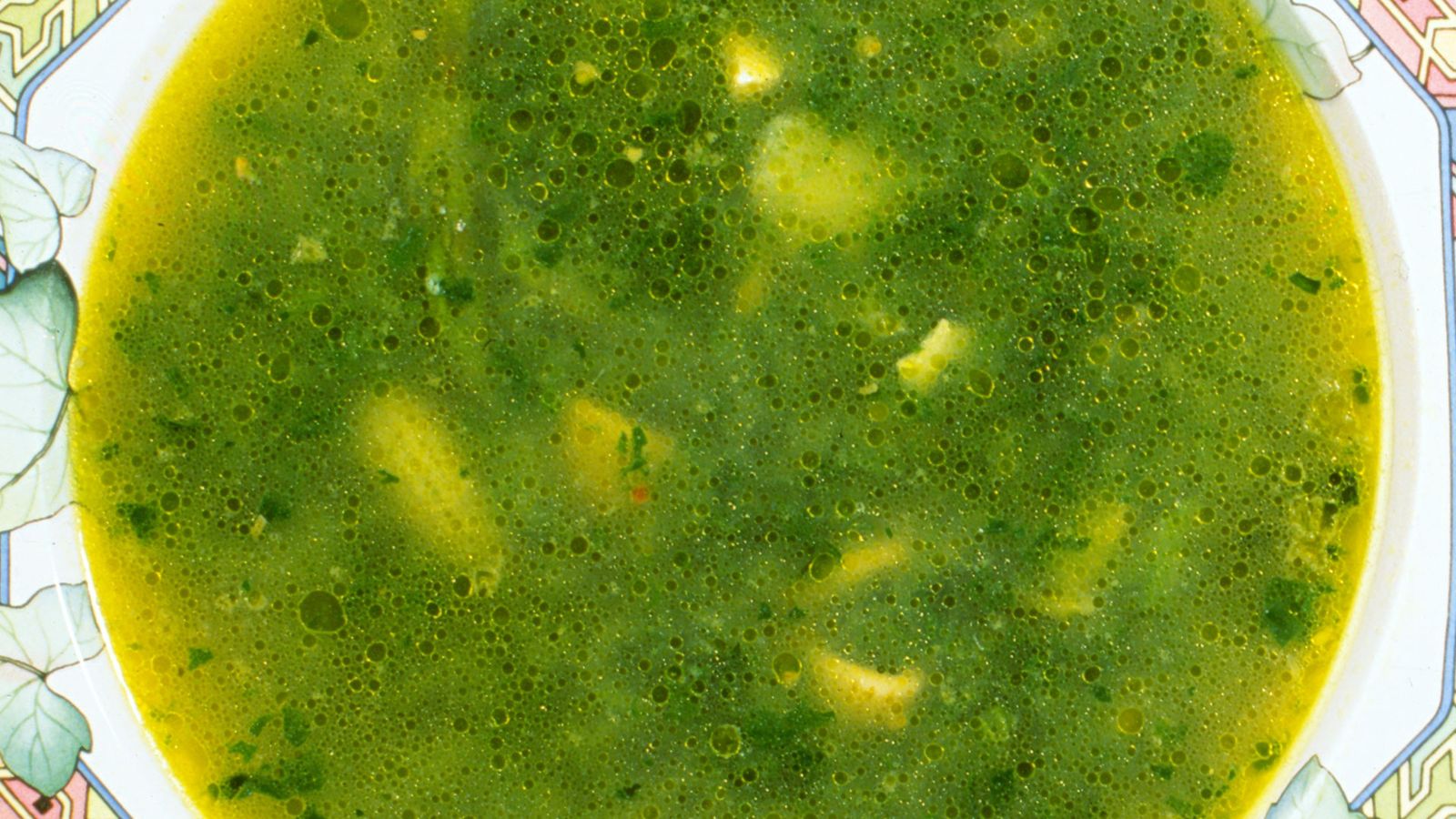 027 1 sopa espinacas xl