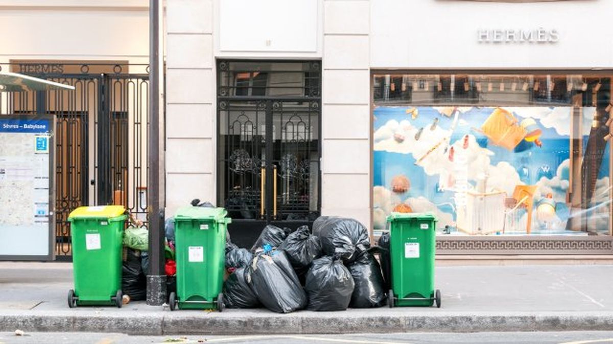 como reclamar una multa por tirar mal la basura