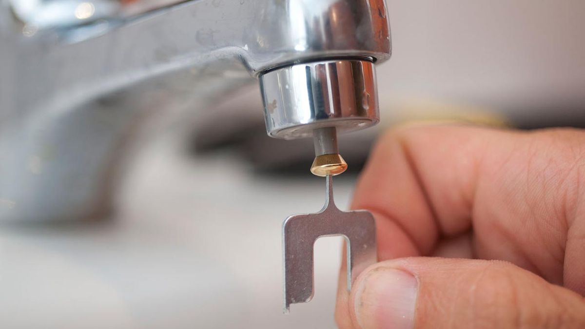 Bricomania 715 Filtro de grifo con pulsador p5