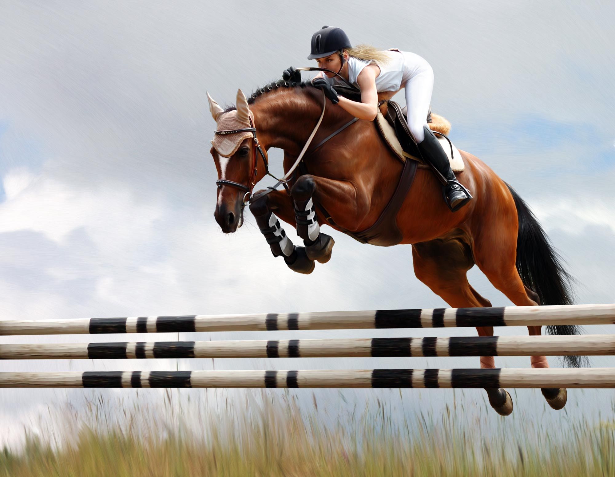 caballos salto xl