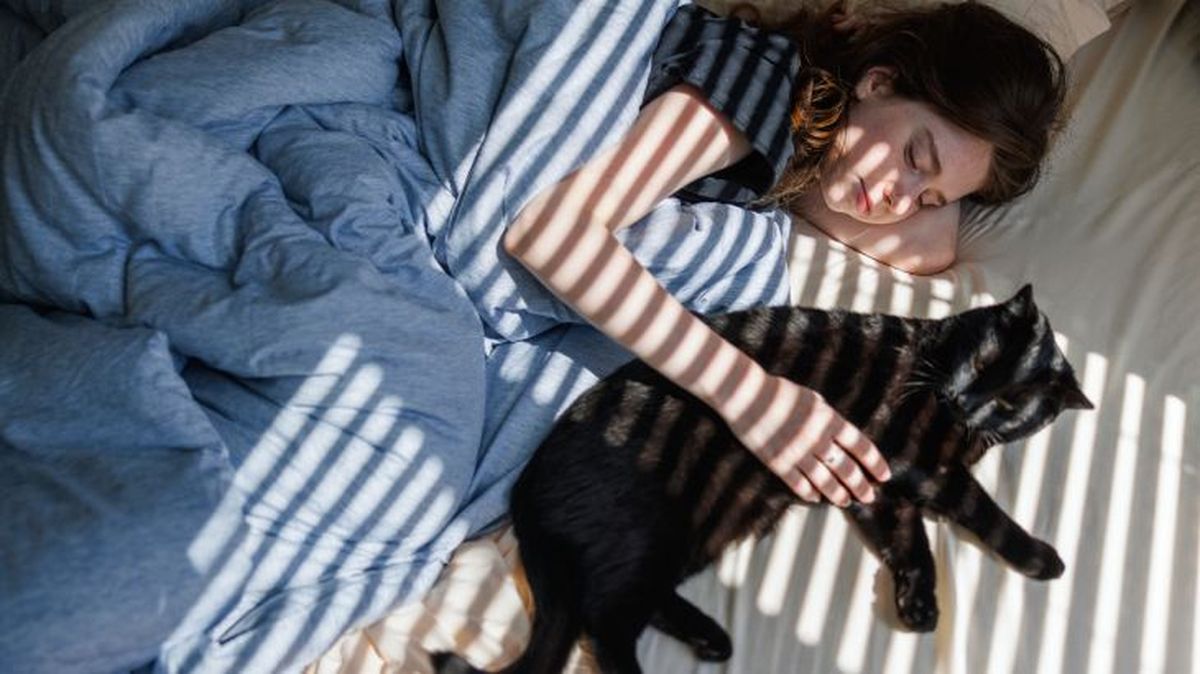 que significa sonar con un gato 3