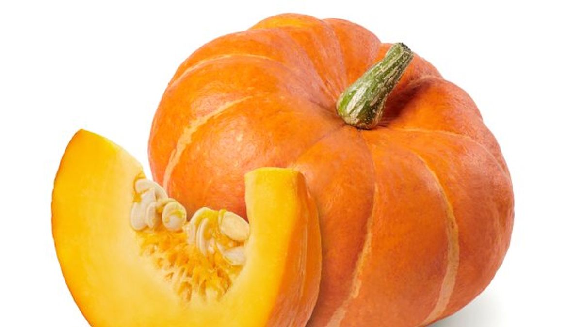 que verduras pueden comer los perros calabaza