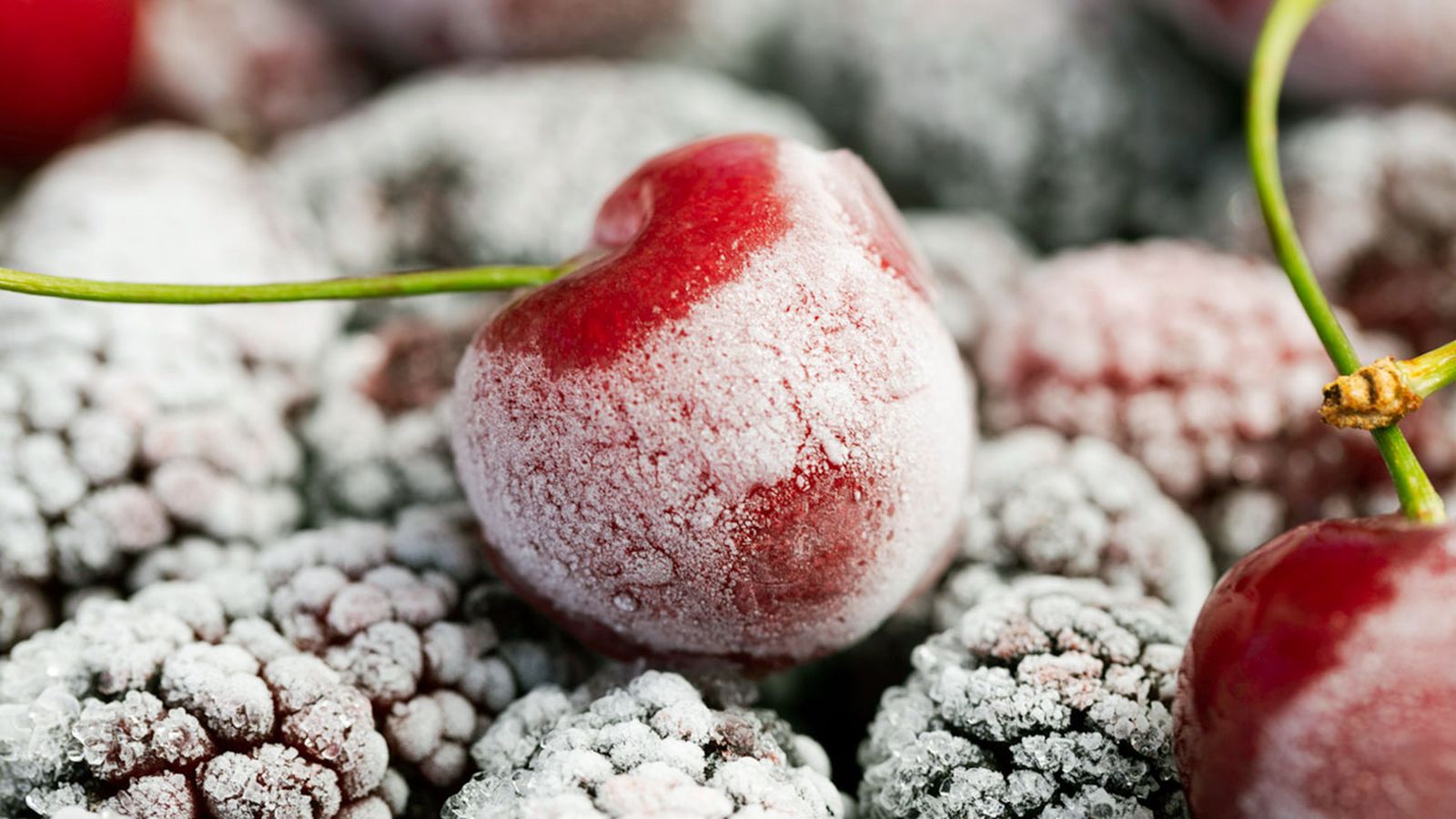 Cómo congelar distintos alimentos