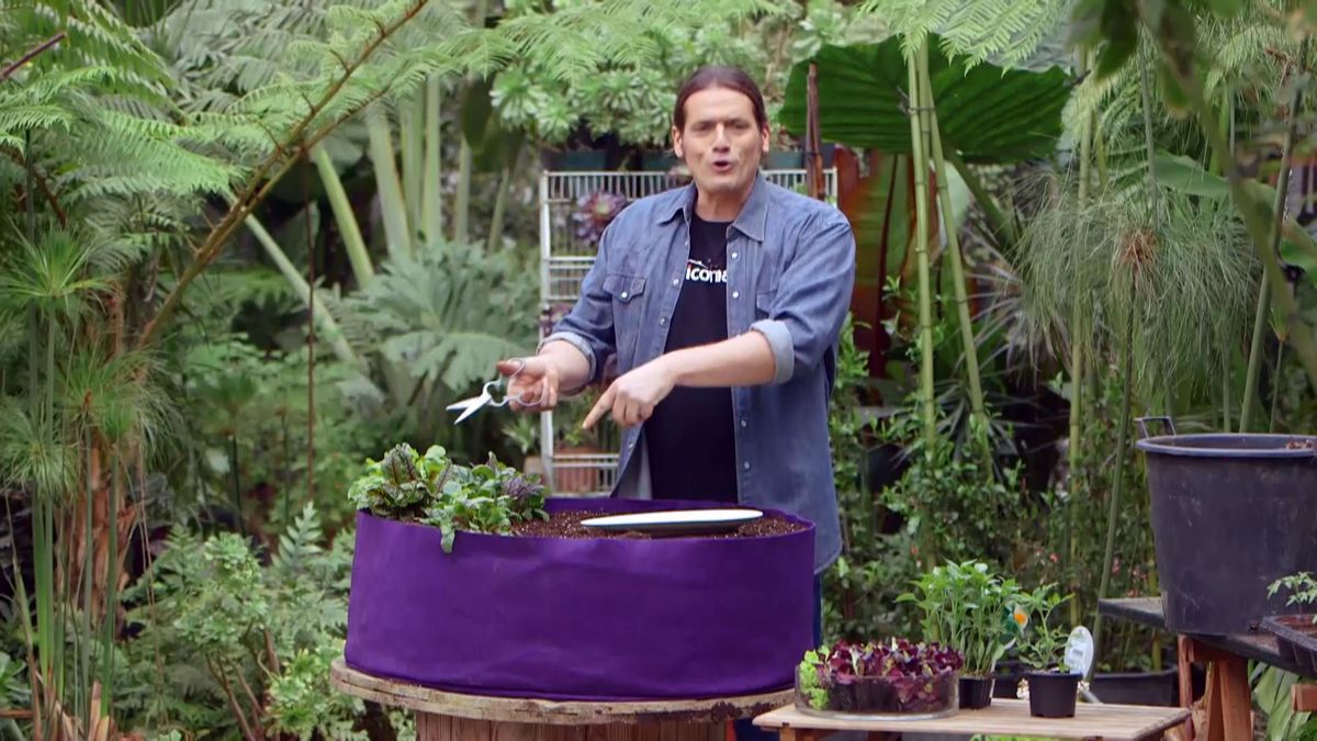 brico 950 3 huerto urbano contenedor geotextil inicio