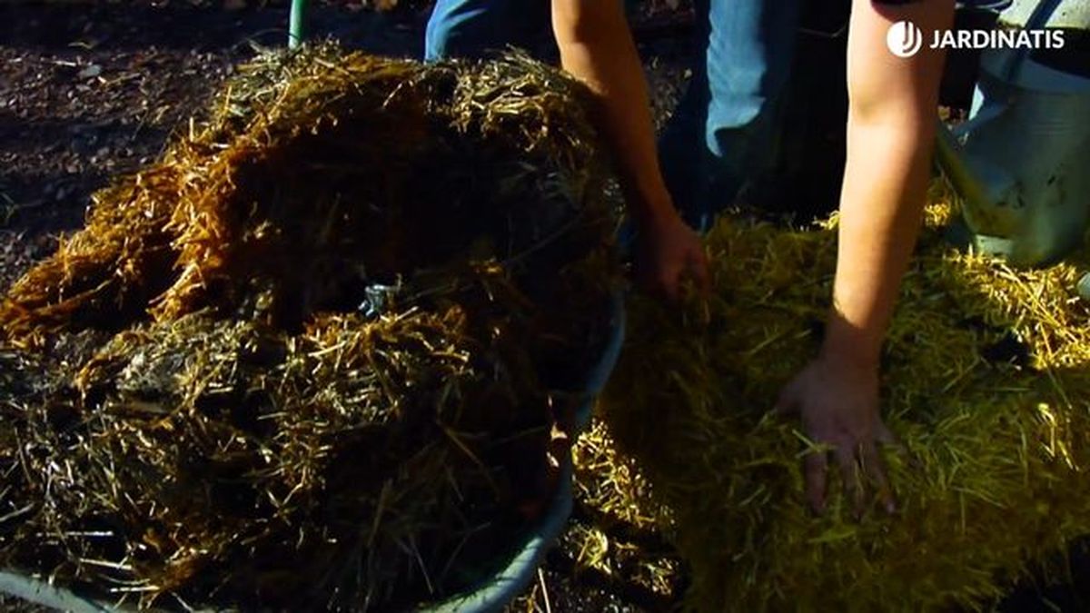 acolchado paja compostada brico 863 jardinatis