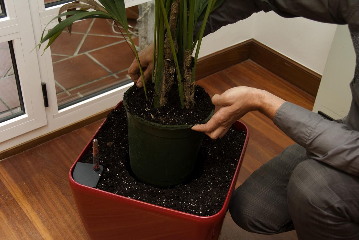 deko 276 decorar salon kentia paso 3