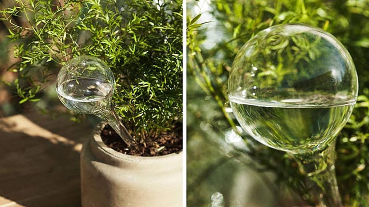 Burbuja de autorriego zara home