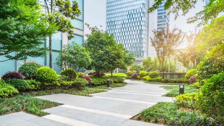 importancia de plantas en ciudades contra el cambio climatico