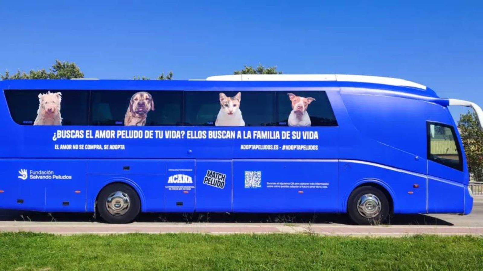 El autobús más peludo recorrerá la Comunidad de Madrid.