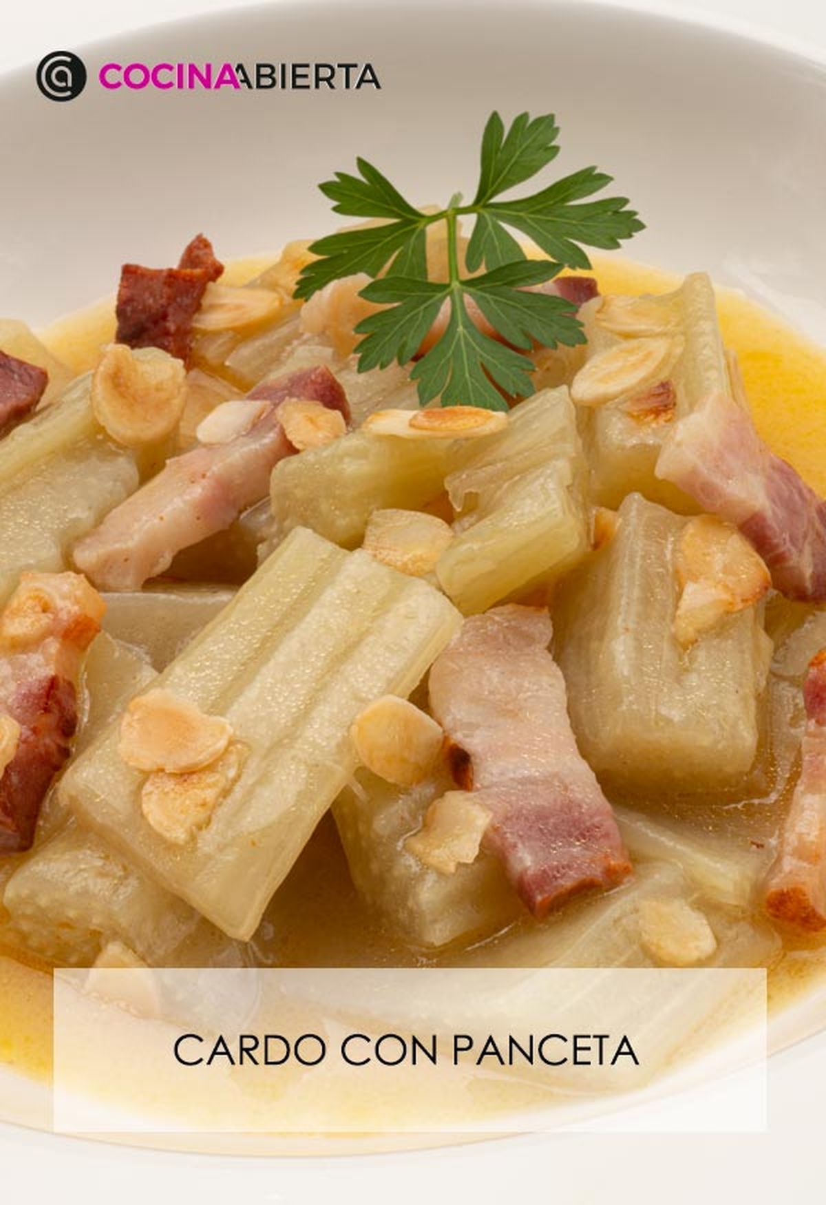 karl6673 cardo panceta v