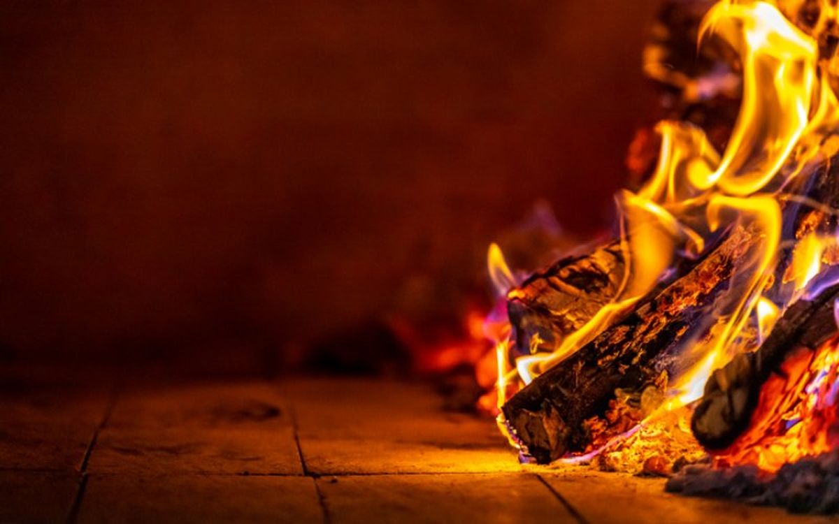 Elige bien la leña a la hora de cocinar tu receta favorita