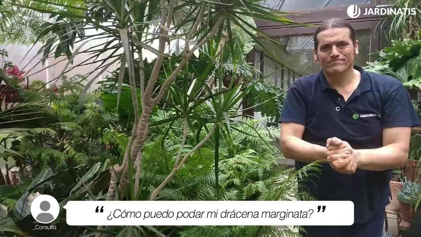 De donde hagas el corte, emergerán las yemas en la planta