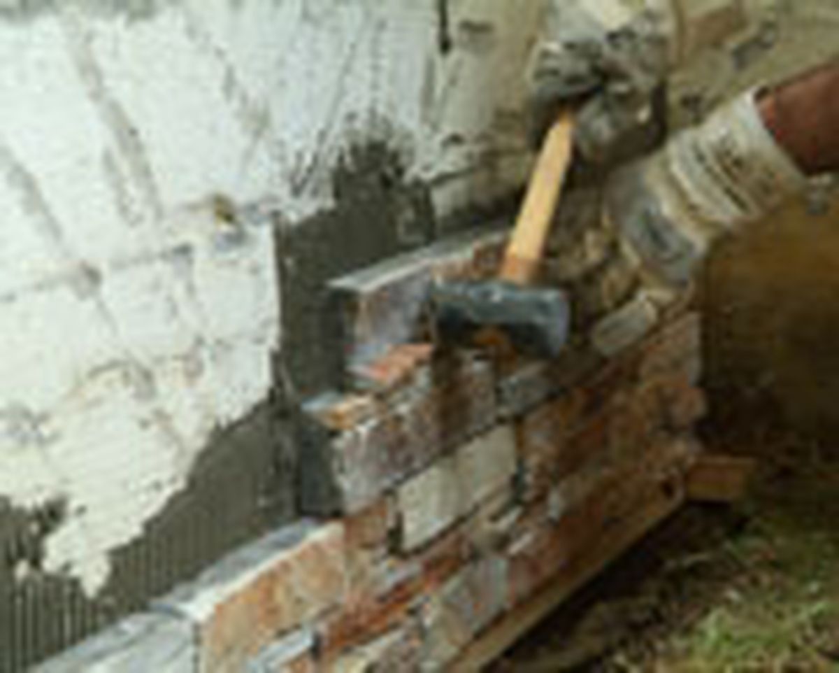 462 pied nat ext p17