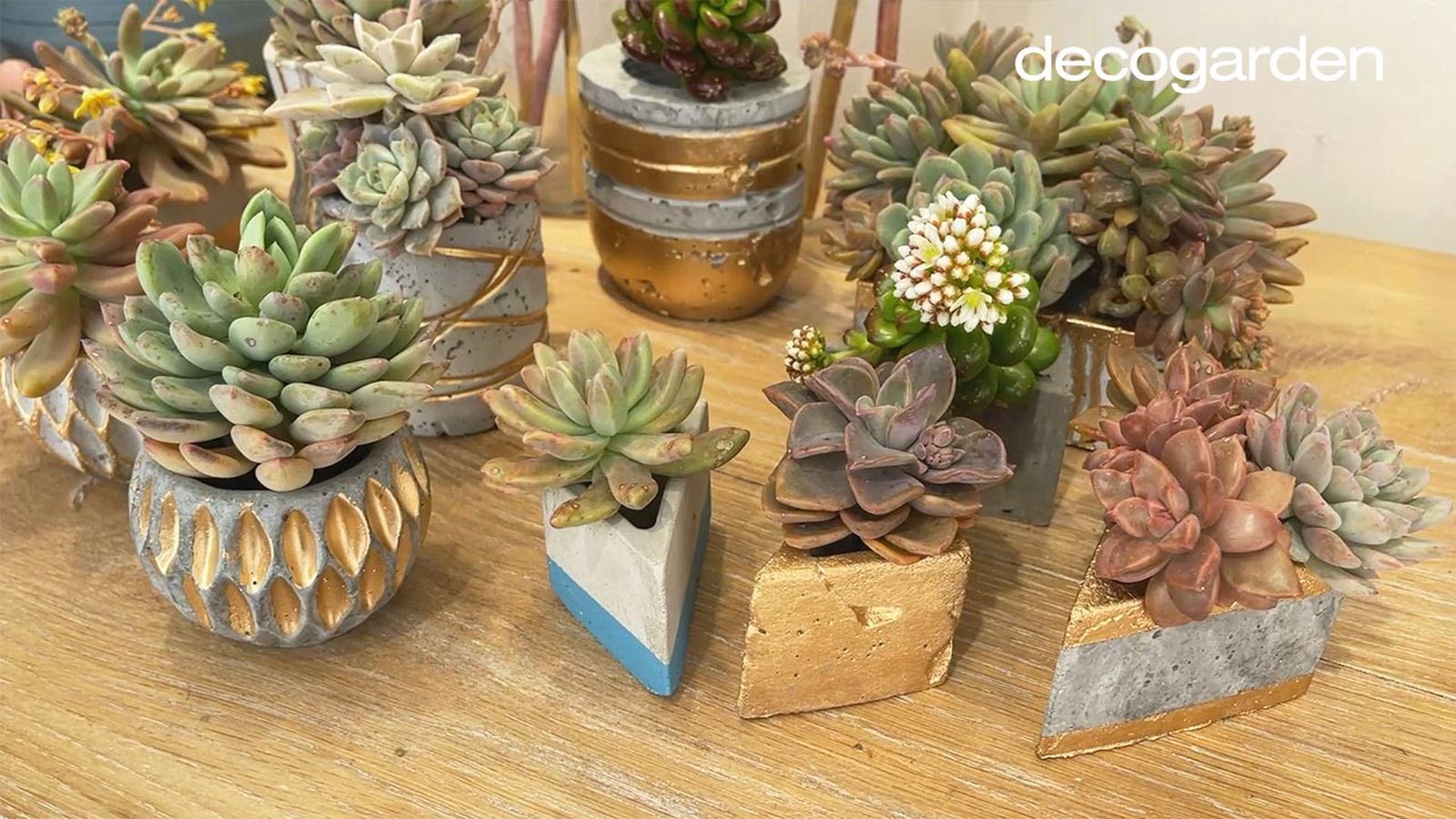 como hacer macetas de cemento 1