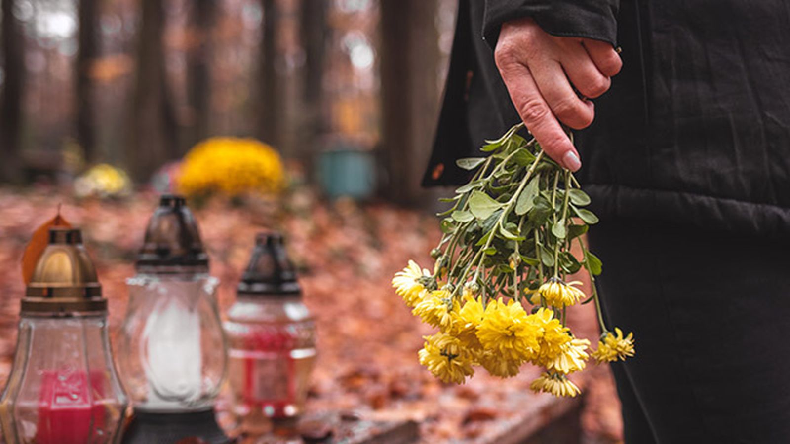 6 plantas para el dia de todos los santos