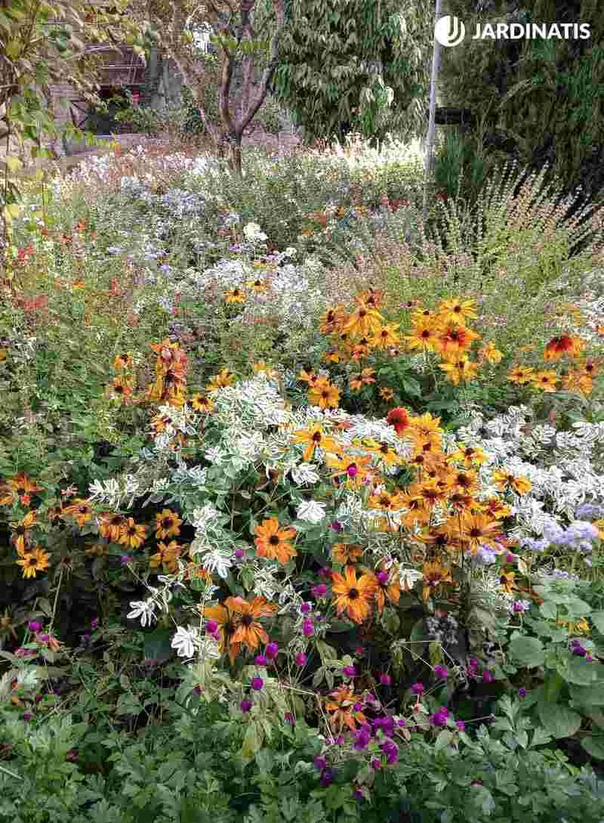 Flores de los Jardines de la Alhambra