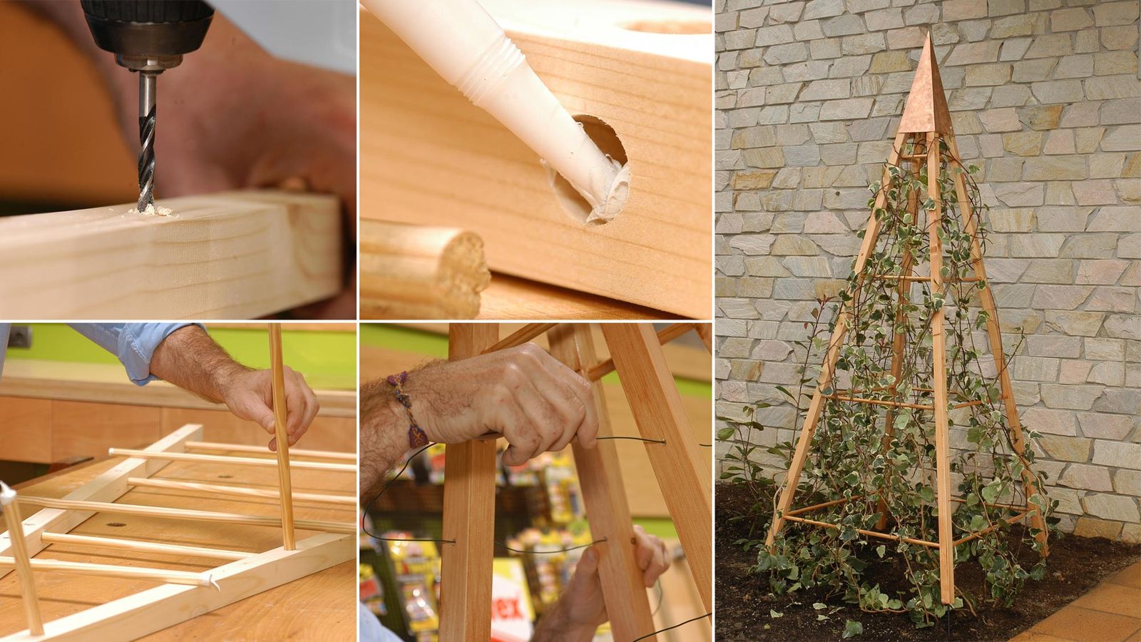 Tutor para enredaderas inicio