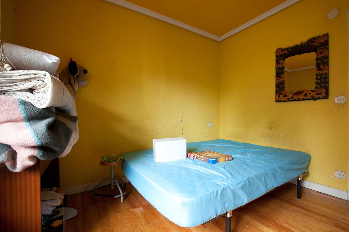 Programa de Decogarden del 21 de noviembre de 2015 3