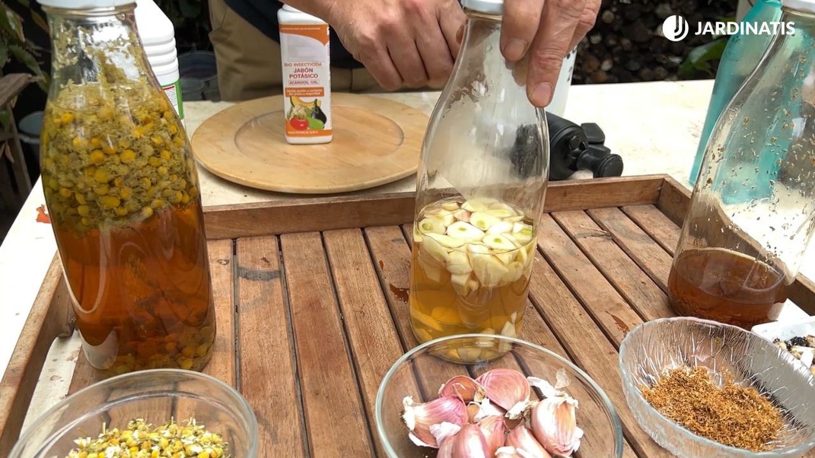 3 mezclas caseras para proteger a las plantas