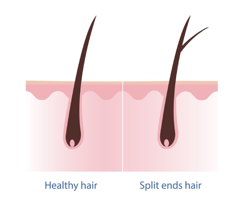 Cabello sano y cabello de puntas abiertas