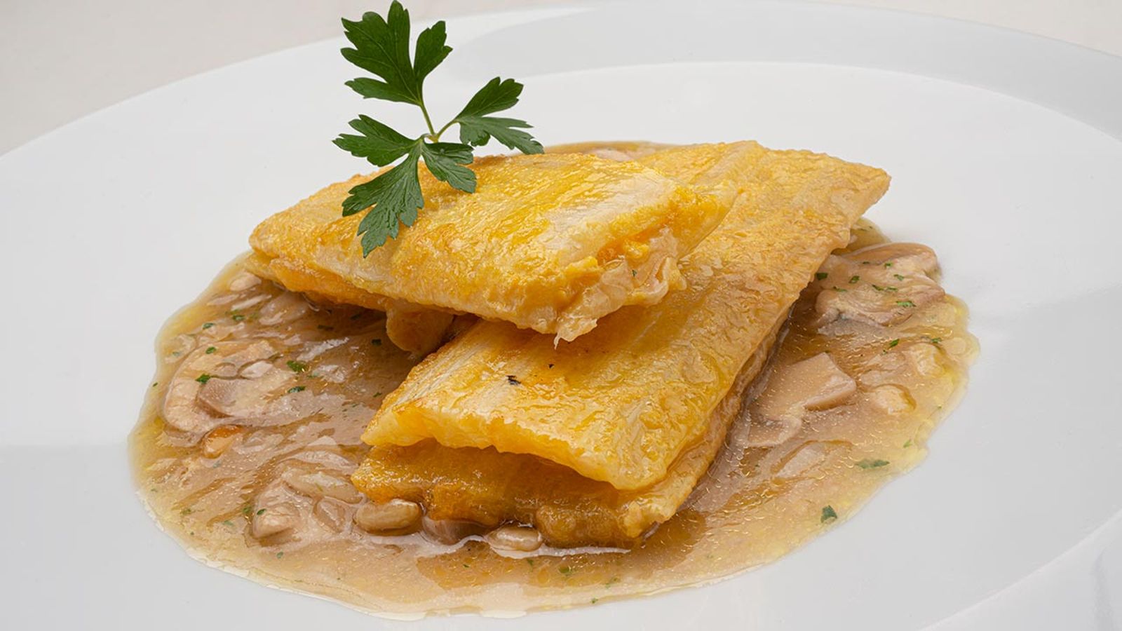 karl6659 pencas queso xl