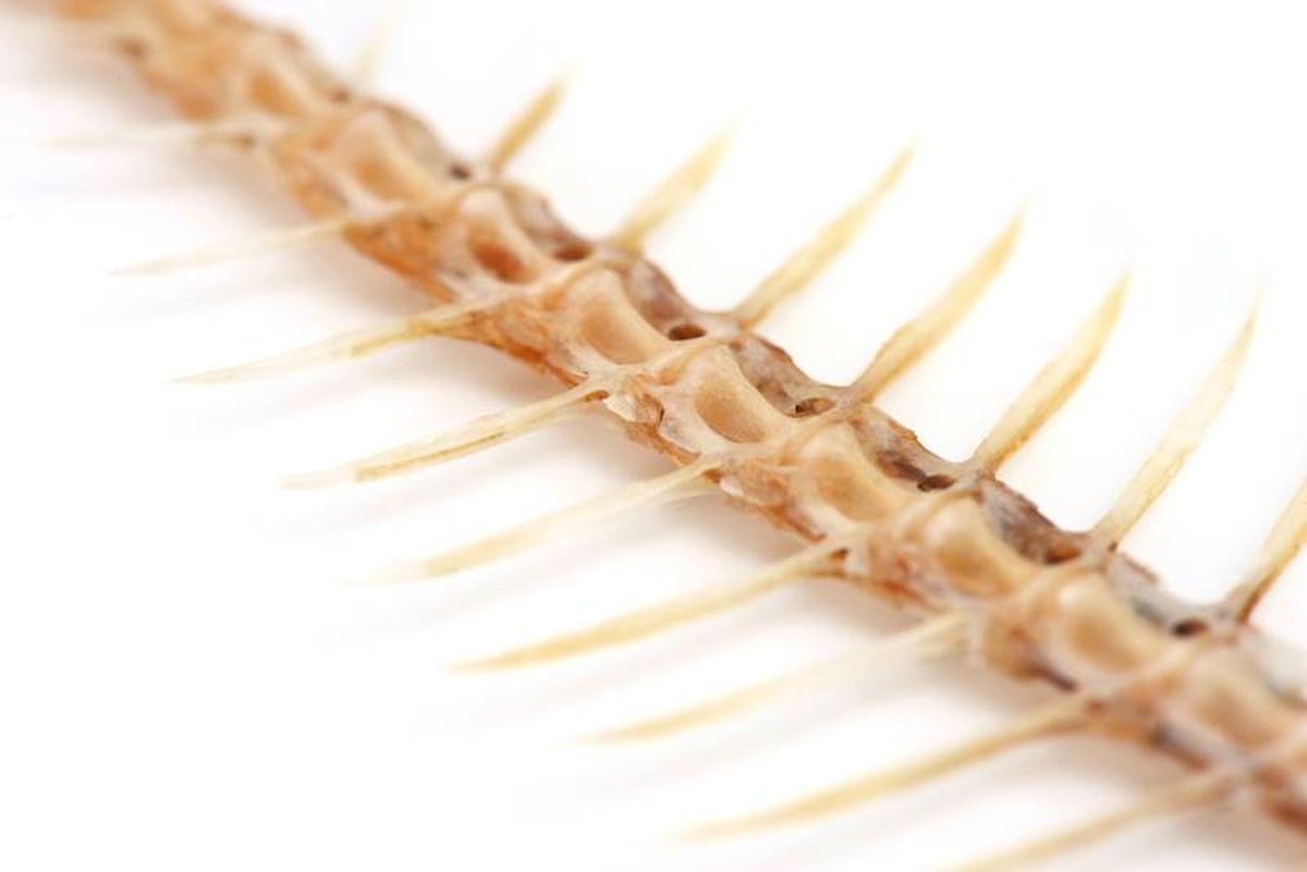 Respira con calma y evita tragar con fuerza, sin ponerse nervioso.