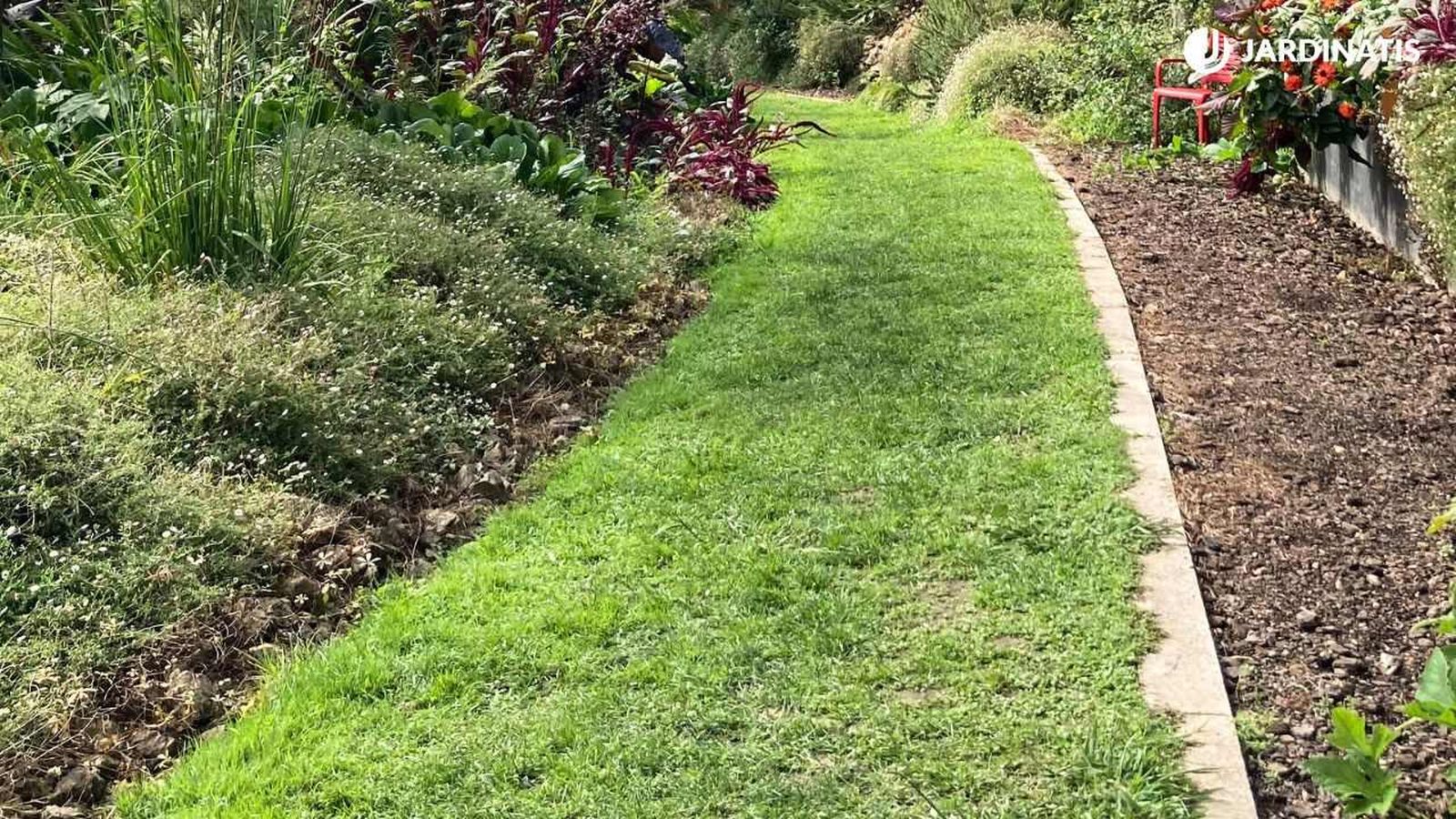Camino de césped