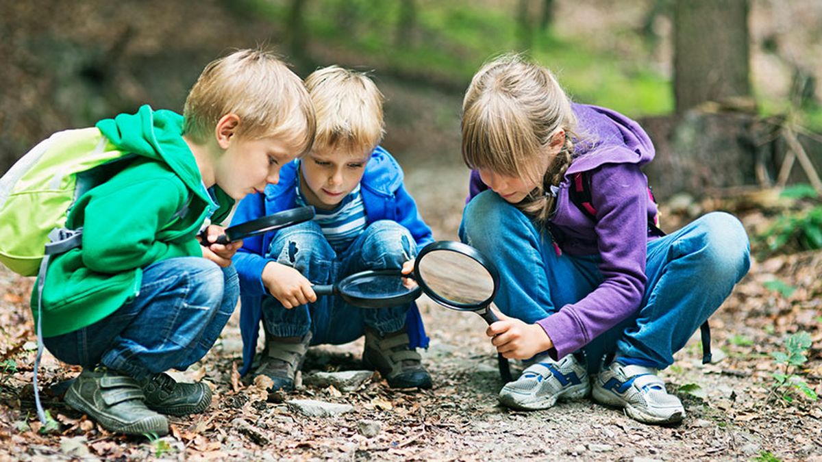 planes primavera familia 2