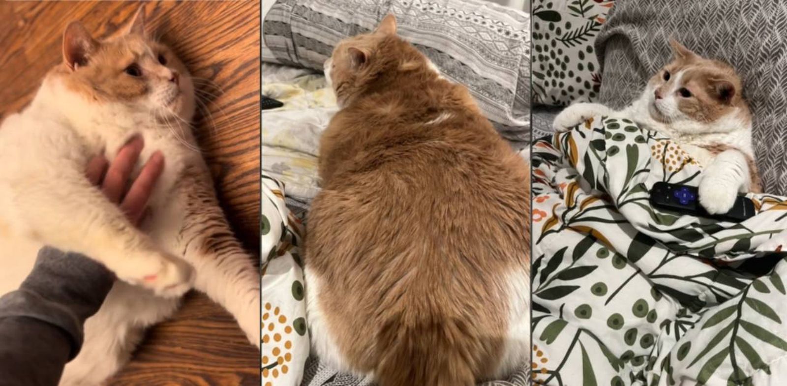 Conoce su historia de superación para librarse de esos kilos de más