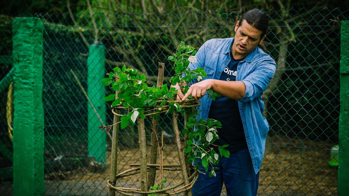 brico 991 jardineria cultivar frambuesas xl