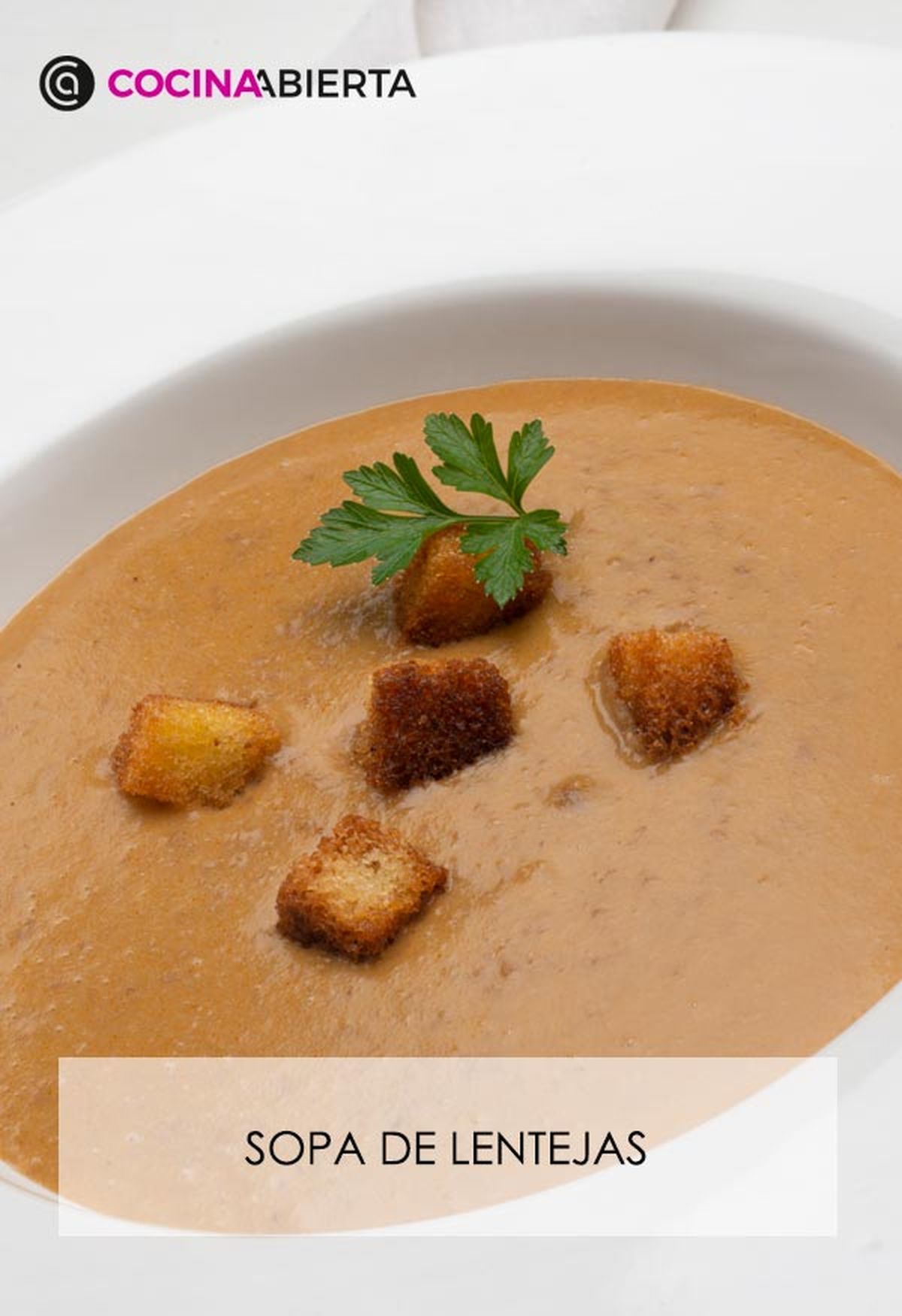 karl6629 sopa lentejas v