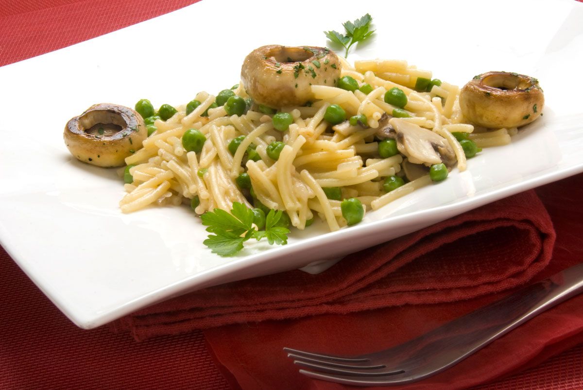 355B fideua de champinones xl