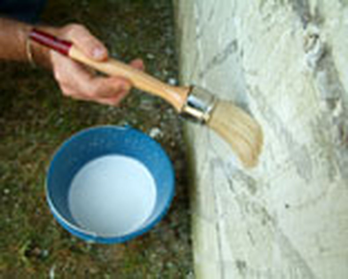 462 pied nat ext p08