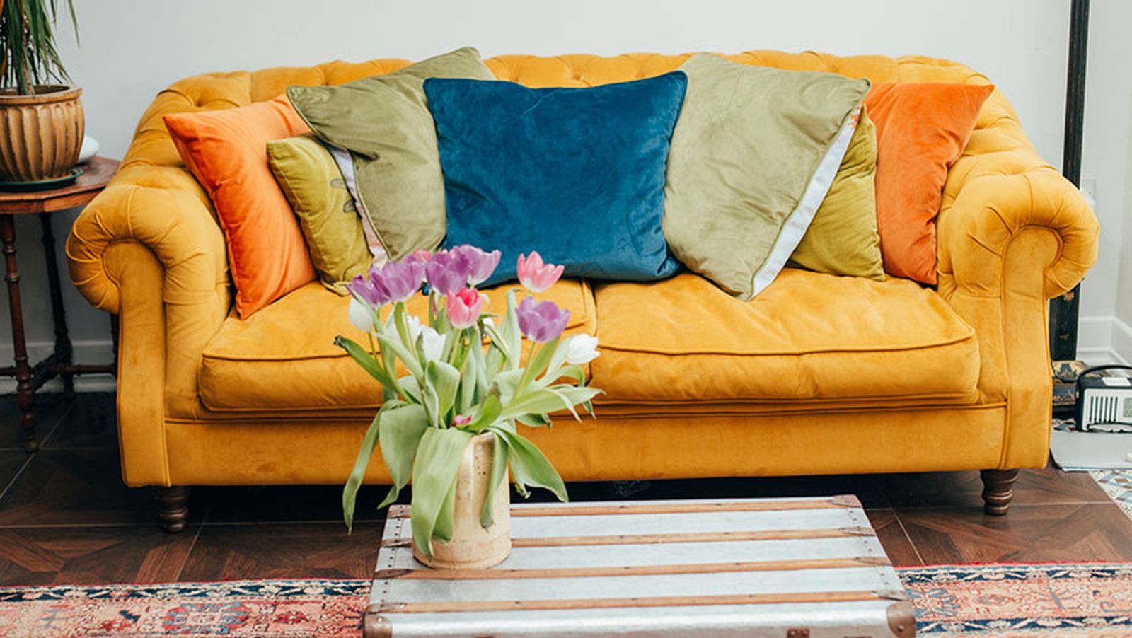 lavar muebles terciopelo xl