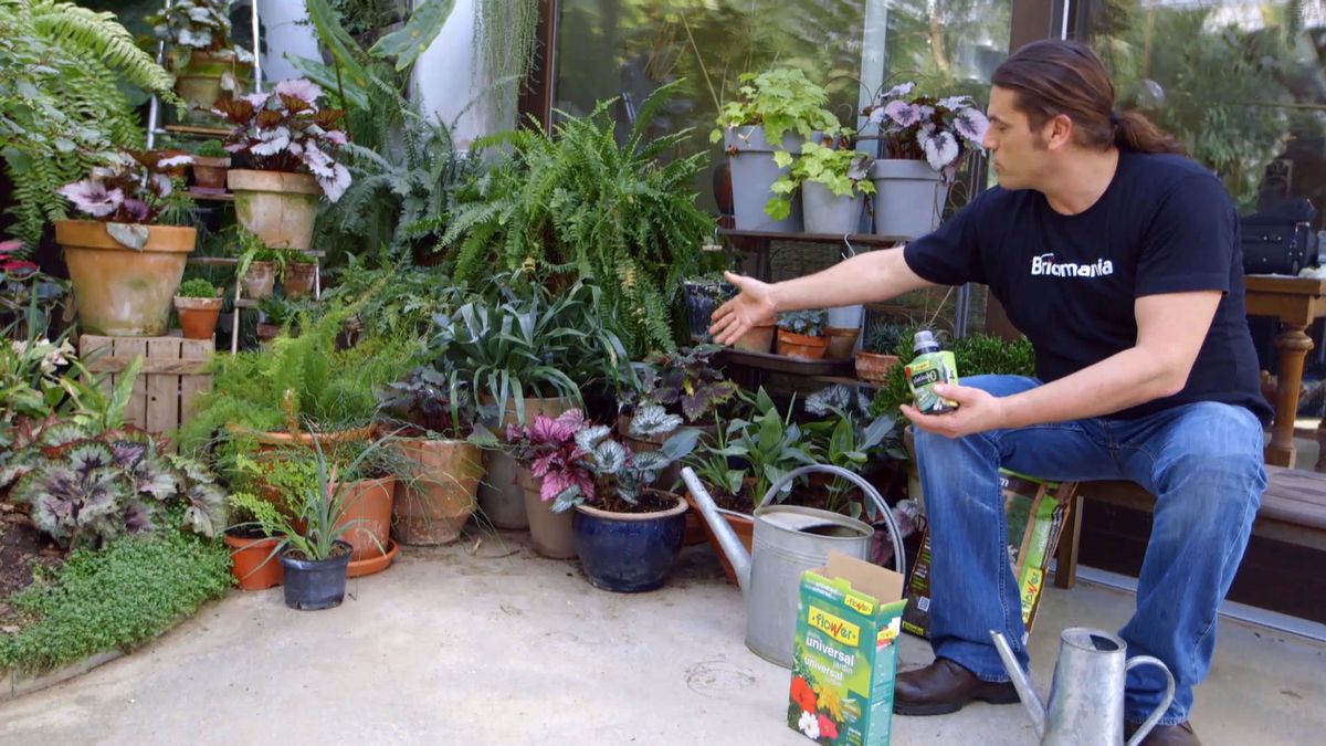 brico 0905 3 2 tipos abonos usos abono cantidades