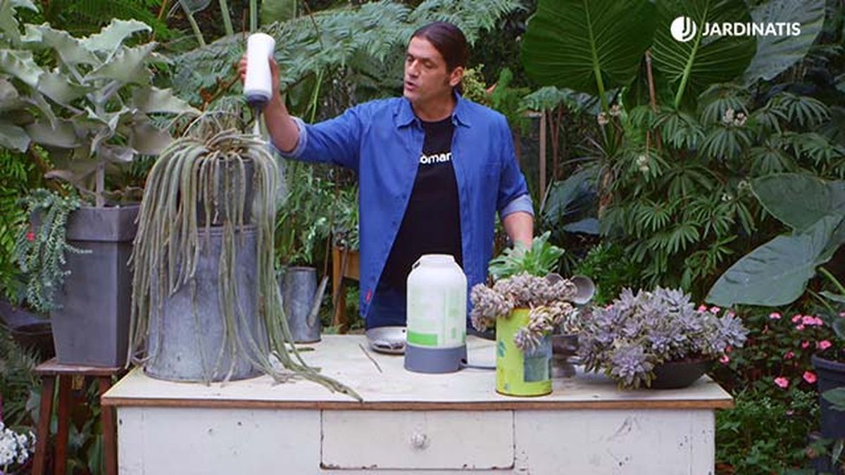 brico 935 3 tierra diatomeas eliminar plaga cochinilla pulverizacion directa