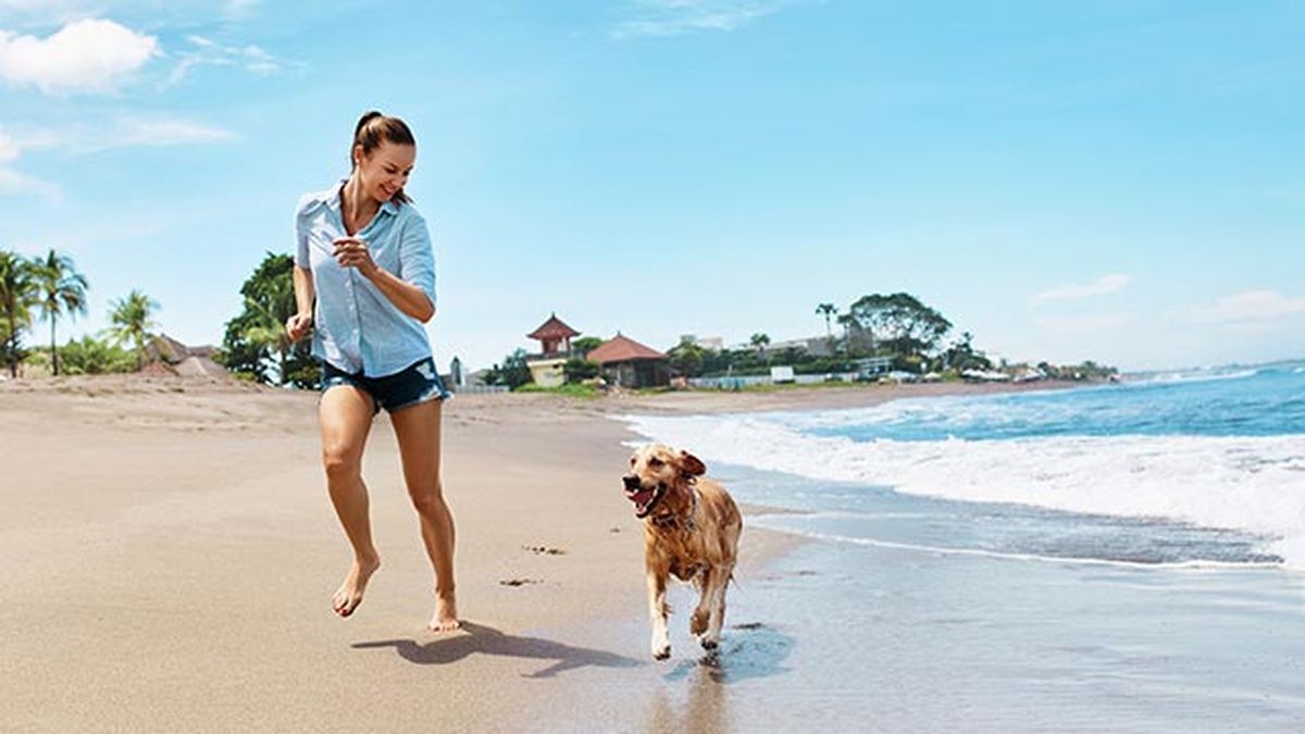 playas perros espana 3