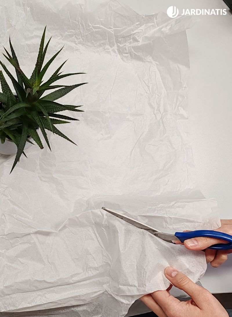 envolver una planta