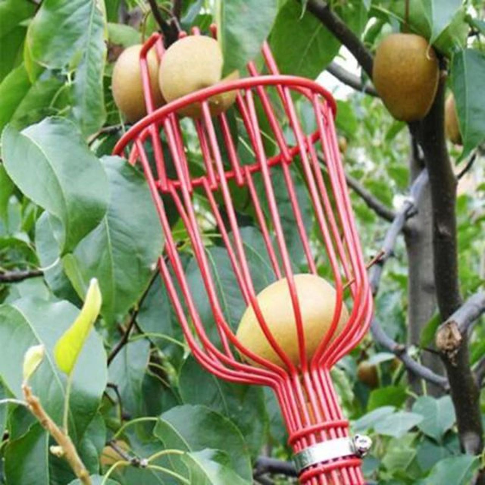 recolector de fruta aluminio aliexpress
