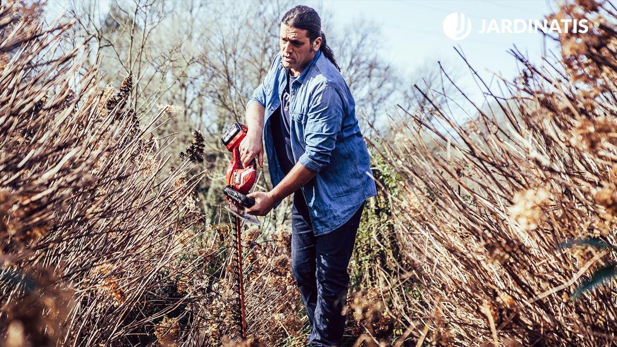 983 jardineria poda hortensias anabel xl